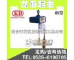 迷你環(huán)鏈電動(dòng)葫蘆寧波【電壓可定制電動(dòng)葫蘆】龍海起重