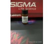 細胞級Trolox廠家sigma水溶性維生素E使用說明