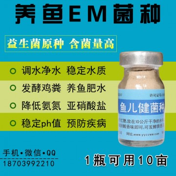 魚塘調(diào)控水質(zhì)用的em菌哪里有賣的