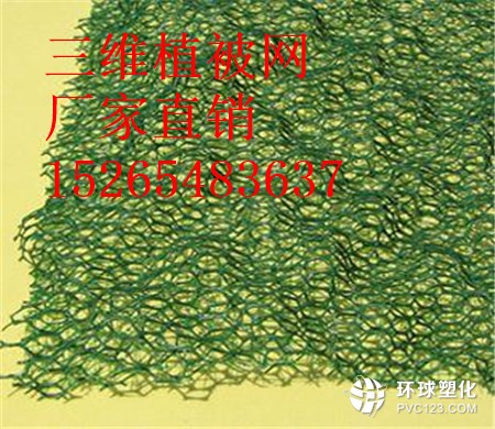 晉中三維植被網(wǎng)批發(fā)15265483637